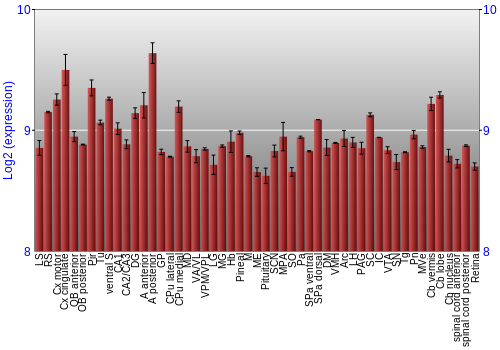 Expression graph