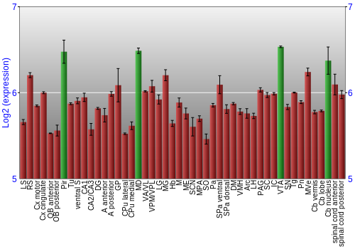 Multi-state expression graph