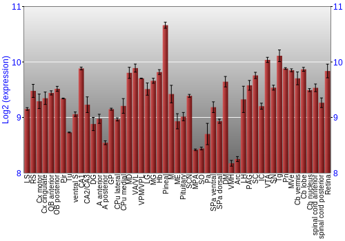 Expression graph