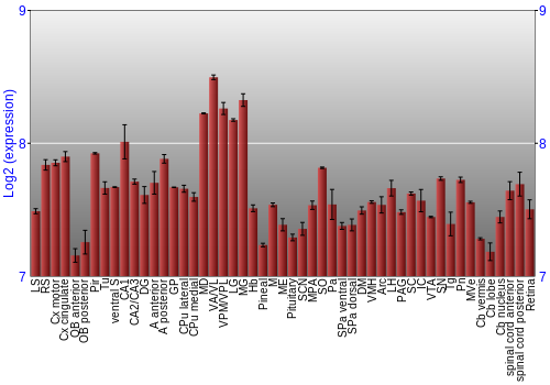 Expression graph
