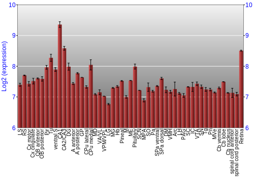 Expression graph