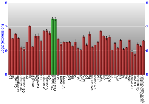 Multi-state expression graph