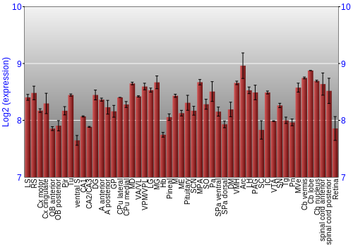 Expression graph