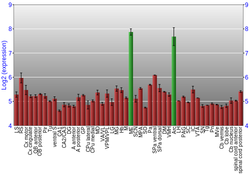 Multi-state expression graph
