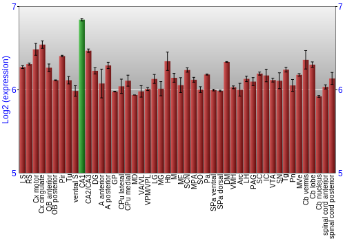 Multi-state expression graph