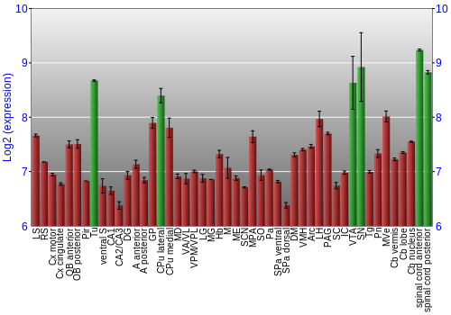 Multi-state expression graph