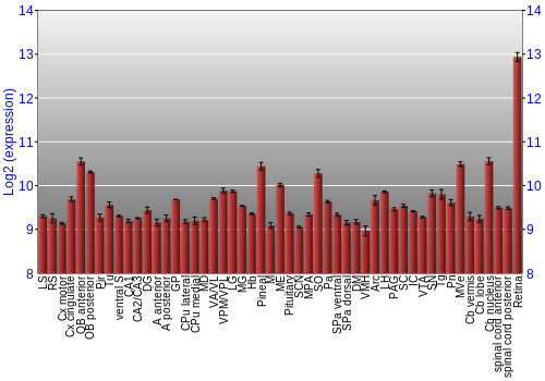Expression graph