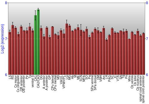 Multi-state expression graph