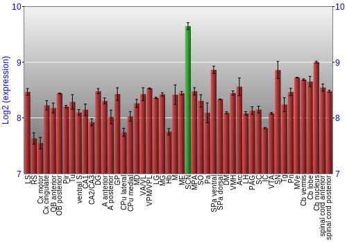 Multi-state expression graph
