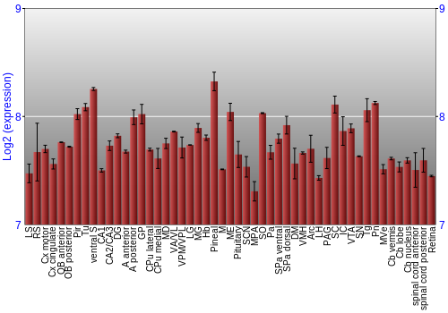 Expression graph