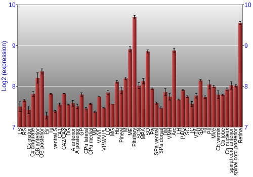 Expression graph