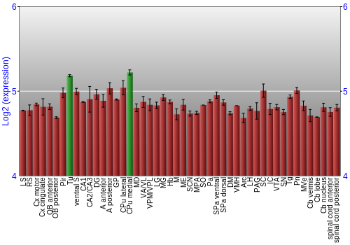 Multi-state expression graph