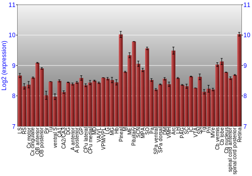 Expression graph