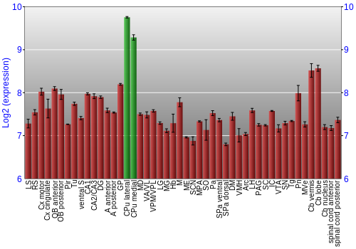 Multi-state expression graph