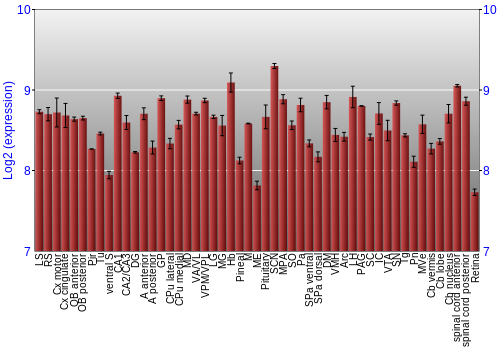 Expression graph