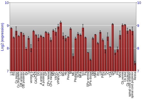 Expression graph