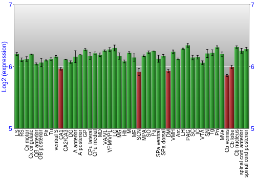 Multi-state expression graph