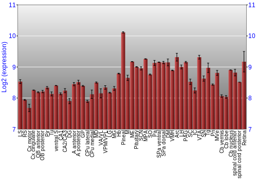 Expression graph