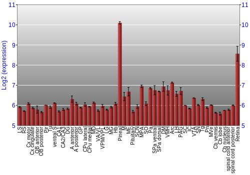 Expression graph
