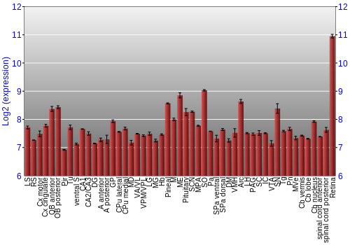 Expression graph