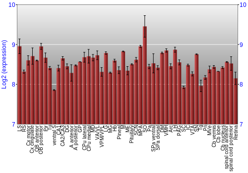 Expression graph