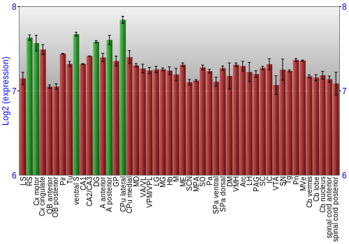 Multi-state expression graph