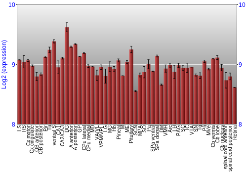 Expression graph