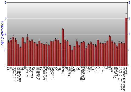 Expression graph