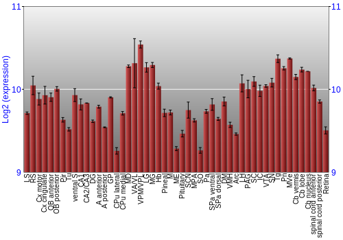 Expression graph