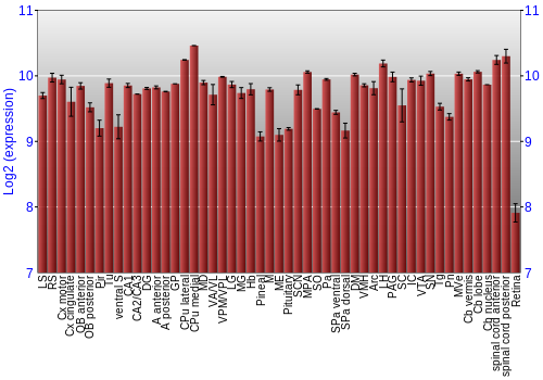Expression graph