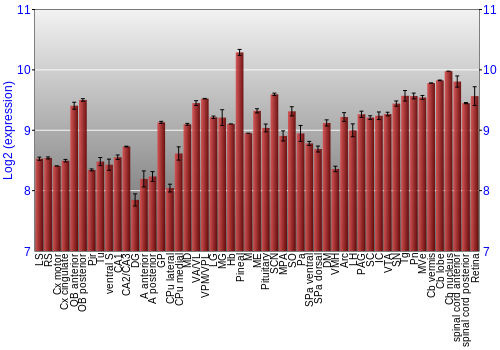 Expression graph