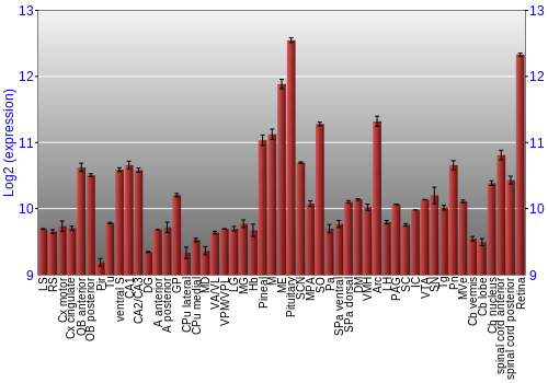 Expression graph