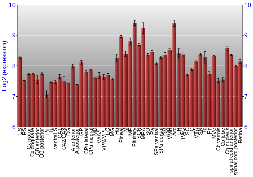 Expression graph