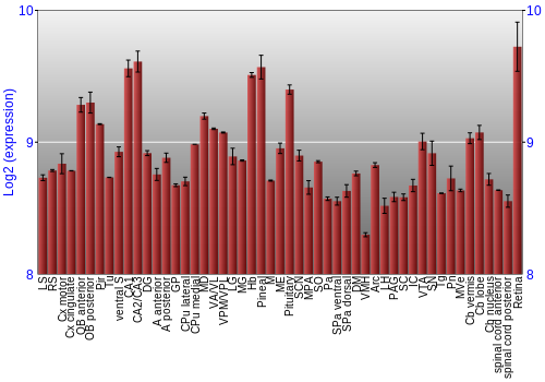 Expression graph