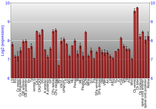 Expression graph