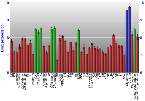 Multi-state expression graph