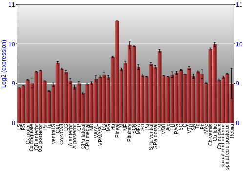 Expression graph