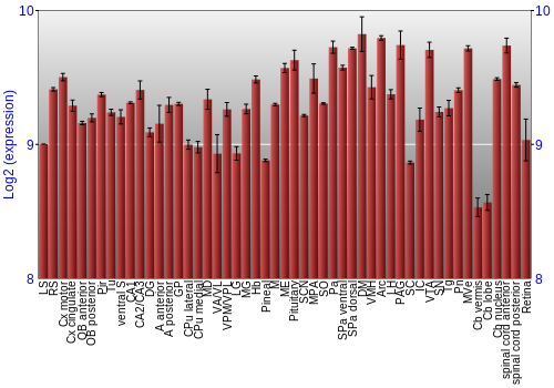 Expression graph