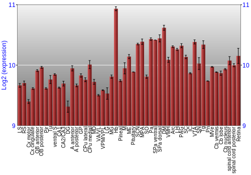 Expression graph