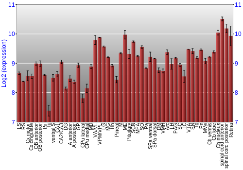 Expression graph