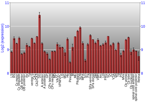 Expression graph