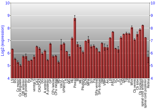 Expression graph