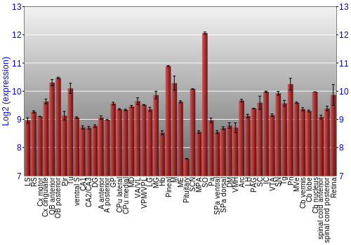 Expression graph
