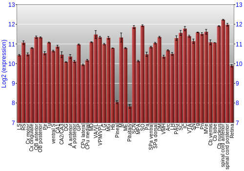 Expression graph