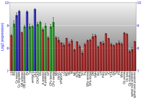 Multi-state expression graph