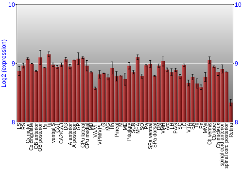 Expression graph