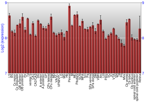 Expression graph