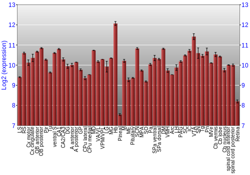 Expression graph