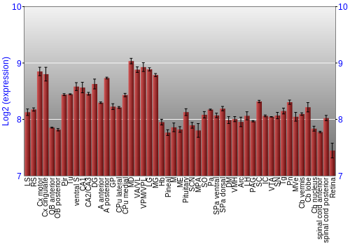 Expression graph