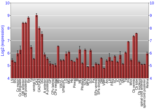 Expression graph